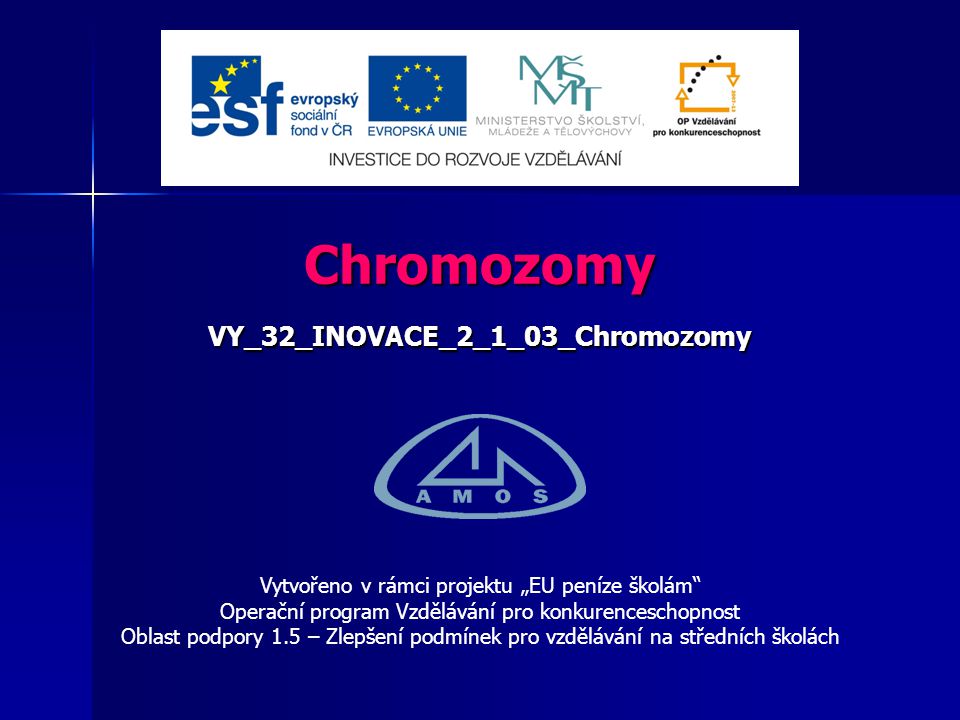 VY_32_INOVACE_2_1_03_Chromozomy
