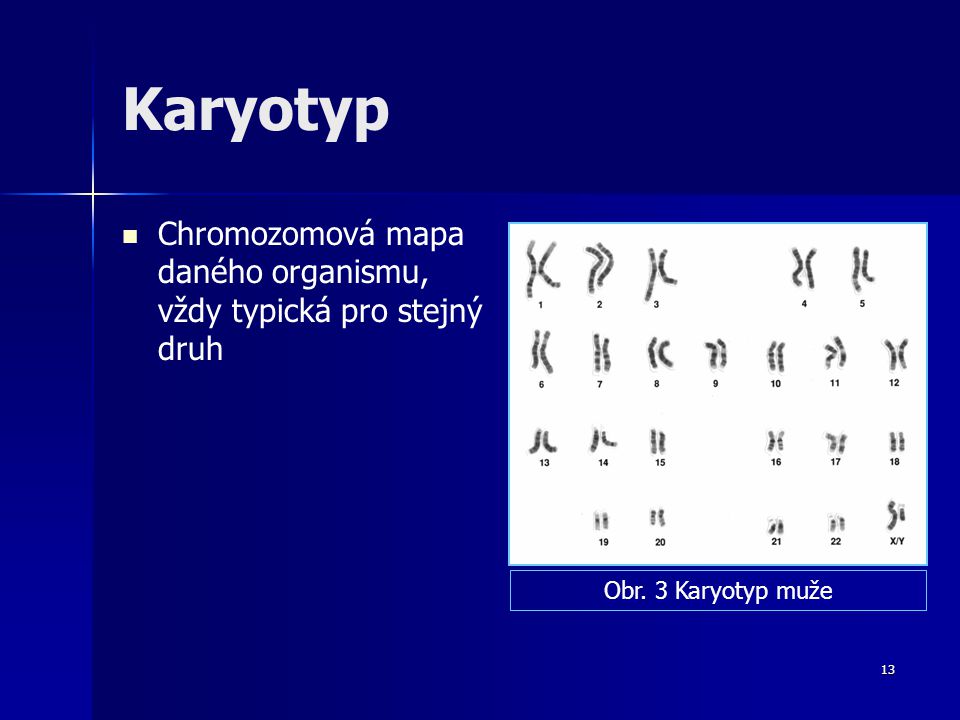 Karyotyp Chromozomová mapa daného organismu, vždy typická pro stejný druh Obr. 3 Karyotyp muže