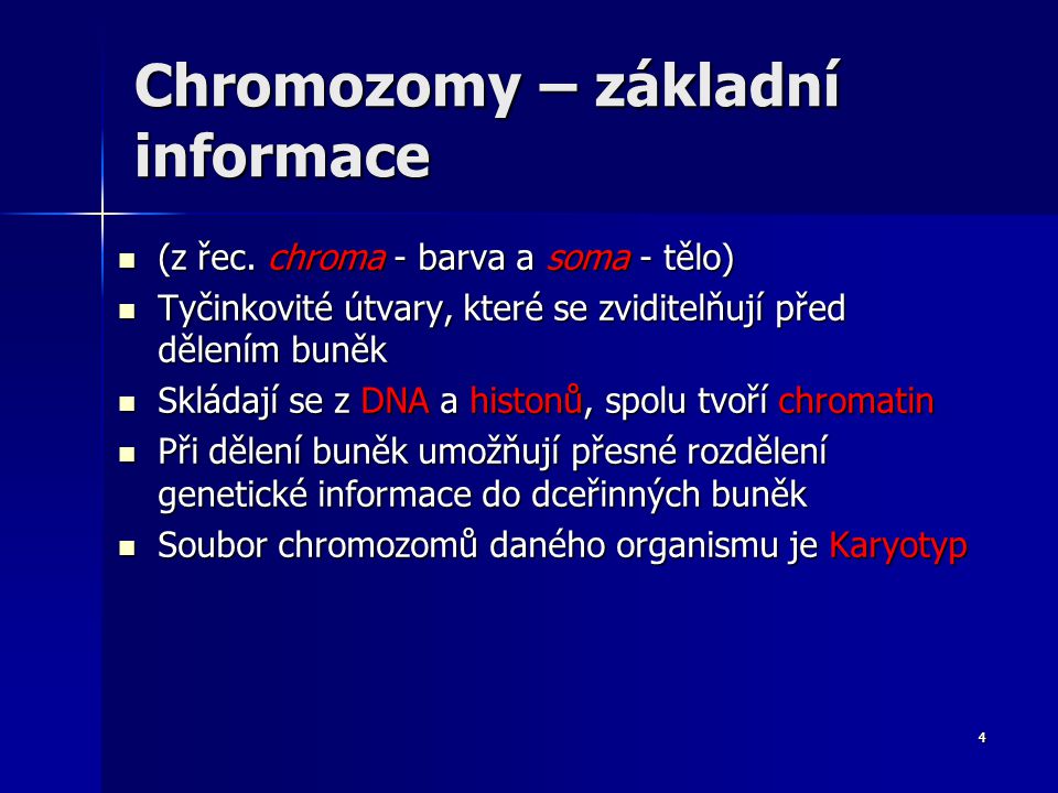 Chromozomy – základní informace
