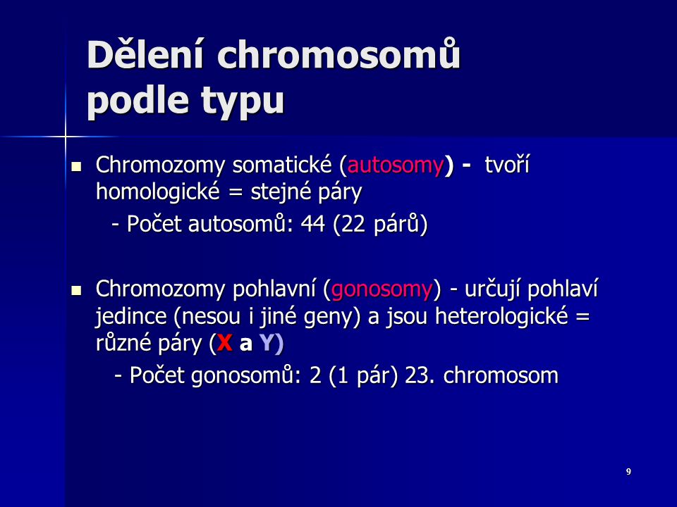 Dělení chromosomů podle typu