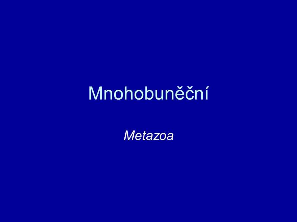 Mnohobuněční Metazoa