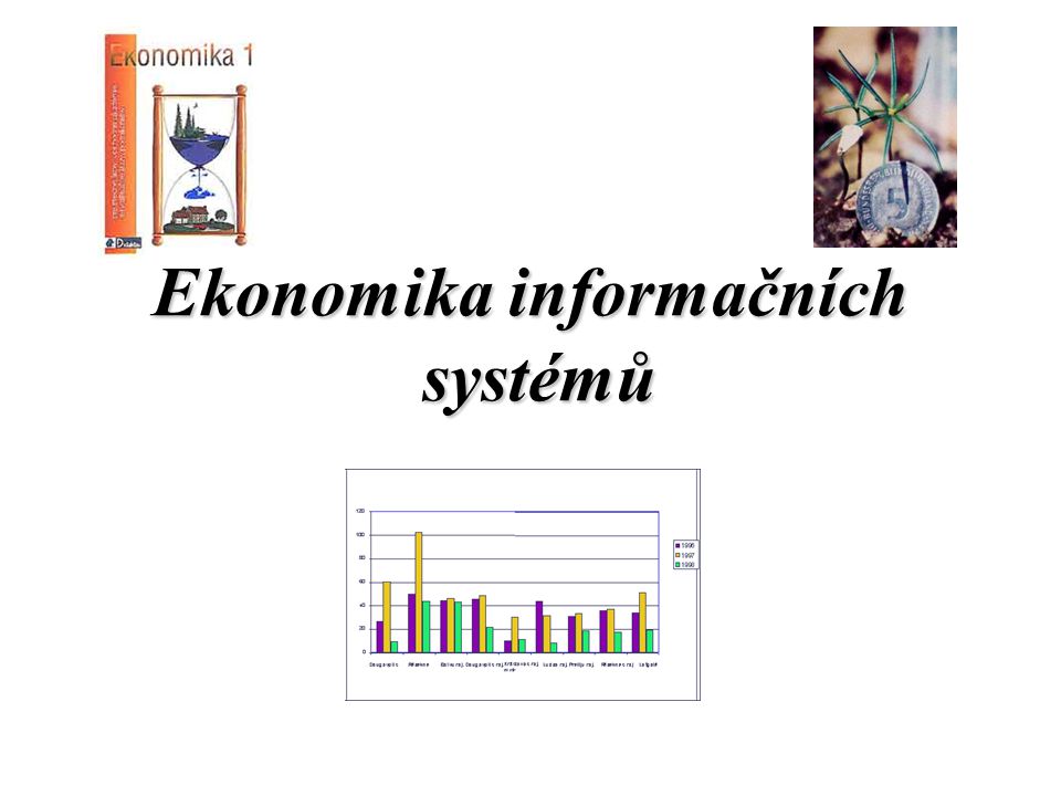 Ekonomika informačních systémů
