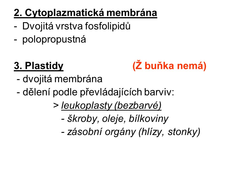 2. Cytoplazmatická membrána