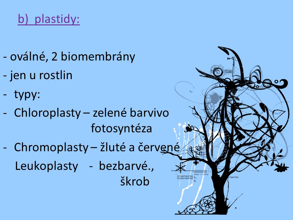 b) plastidy: - oválné, 2 biomembrány. - jen u rostlin. typy: Chloroplasty – zelené barvivo fotosyntéza.