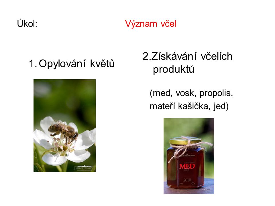 2.Získávání včelích produktů Opylování květů