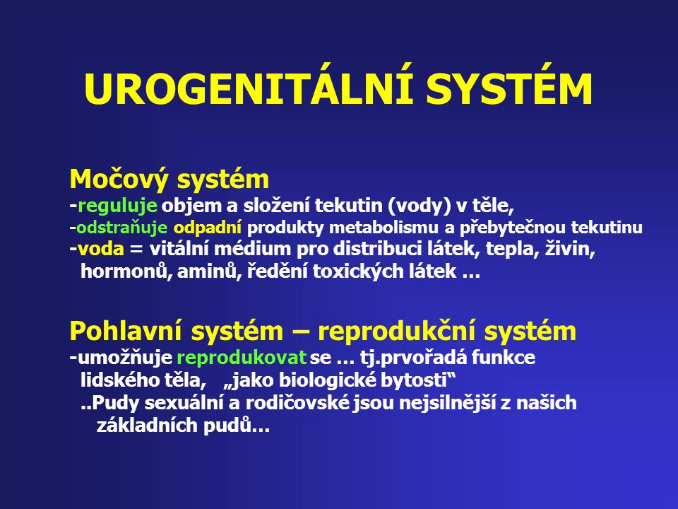 UROGENITÁLNÍ SYSTÉM Močový systém Pohlavní systém – reprodukční systém
