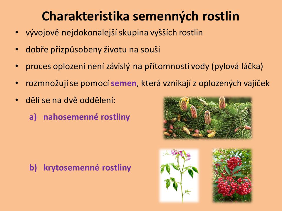 Charakteristika semenných rostlin