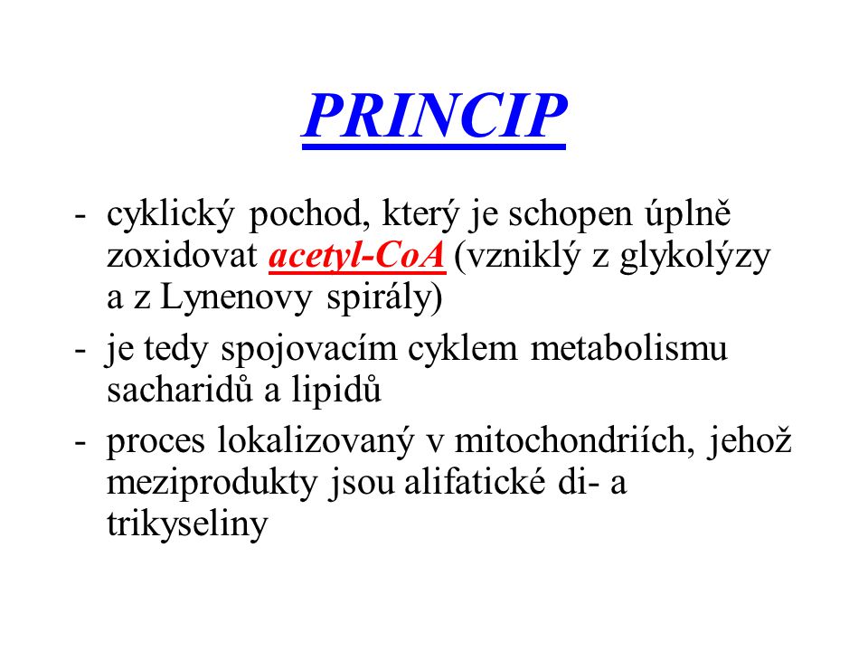 PRINCIP cyklický pochod, který je schopen úplně zoxidovat acetyl-CoA (vzniklý z glykolýzy a z Lynenovy spirály)