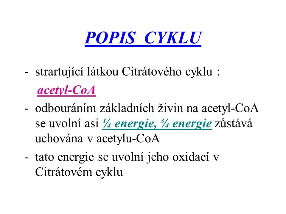 POPIS CYKLU strartující látkou Citrátového cyklu : acetyl-CoA