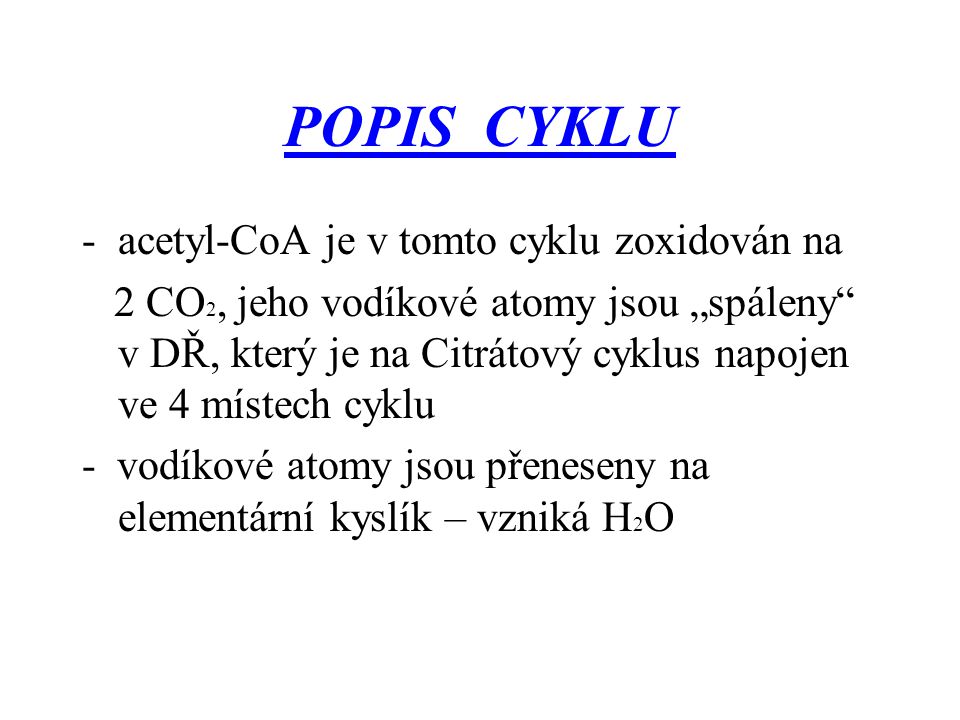 POPIS CYKLU acetyl-CoA je v tomto cyklu zoxidován na