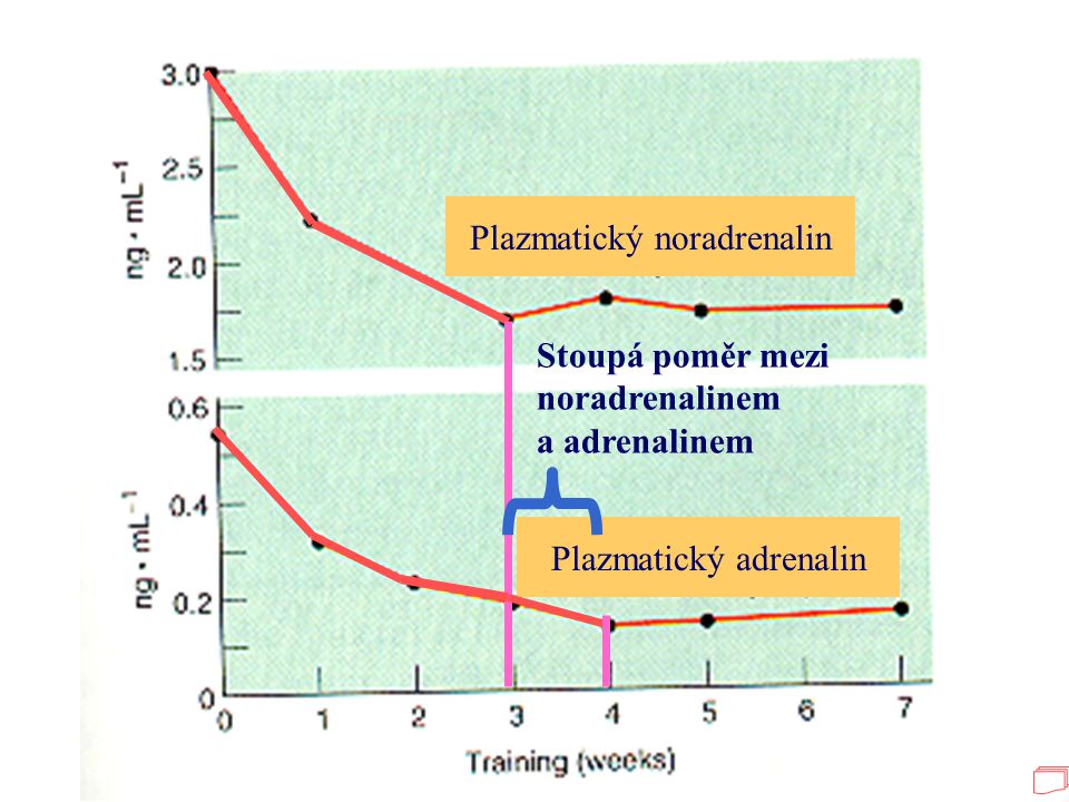 Plazmatický noradrenalin