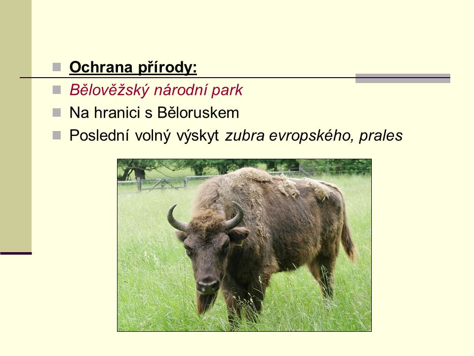 Ochrana přírody: Bělověžský národní park. Na hranici s Běloruskem.