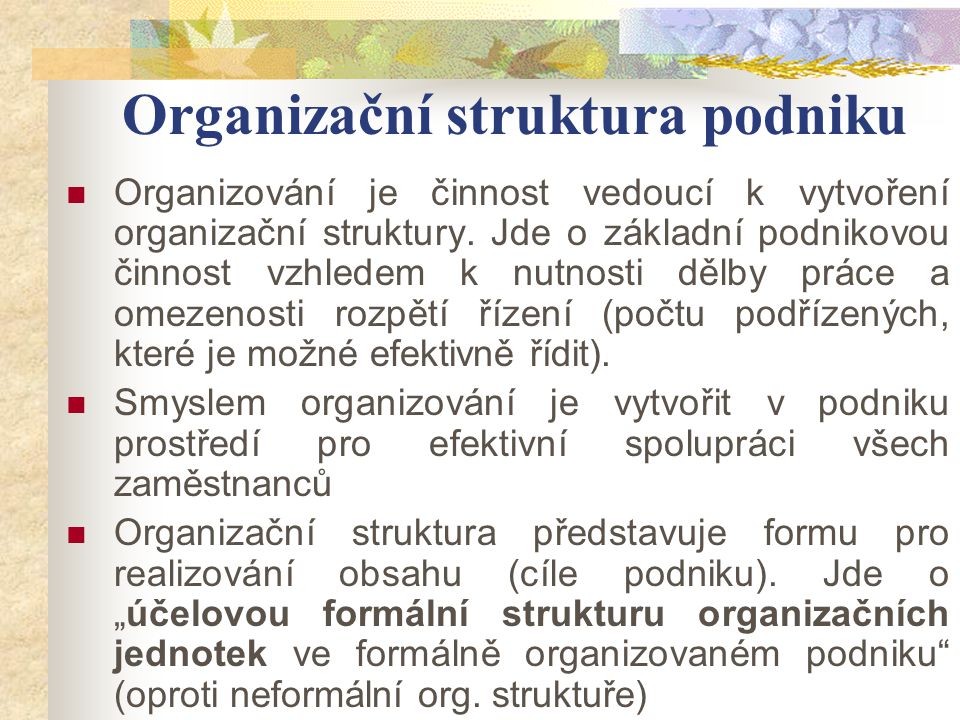 Organizační struktura podniku