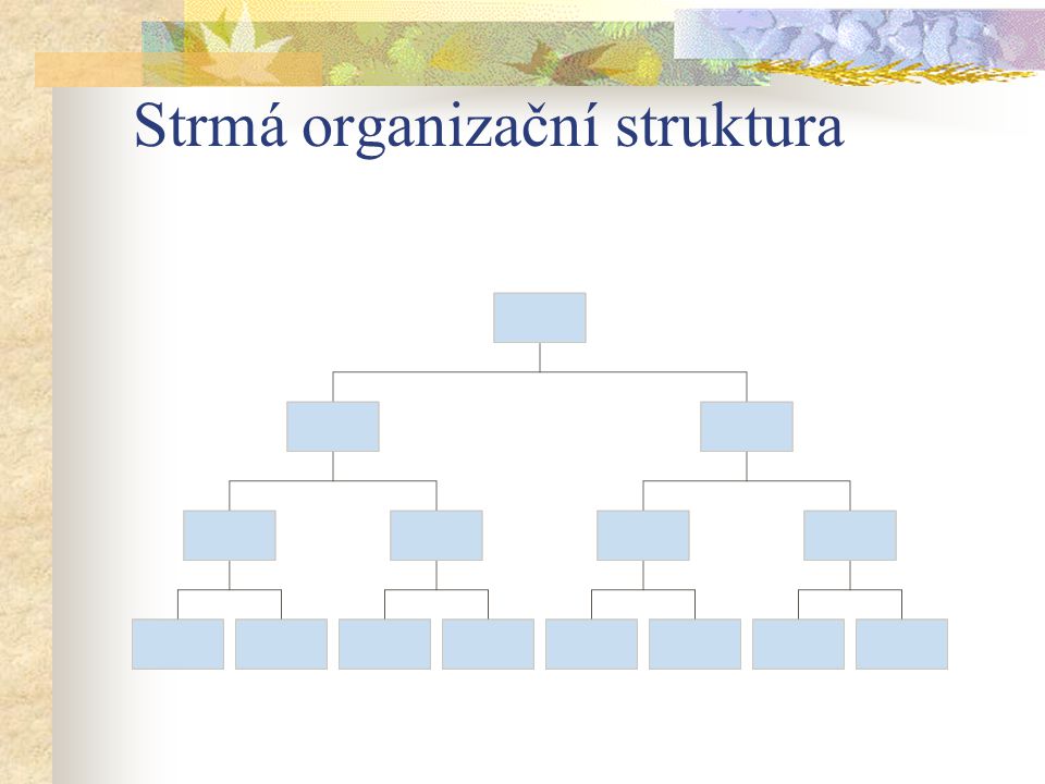 Strmá organizační struktura