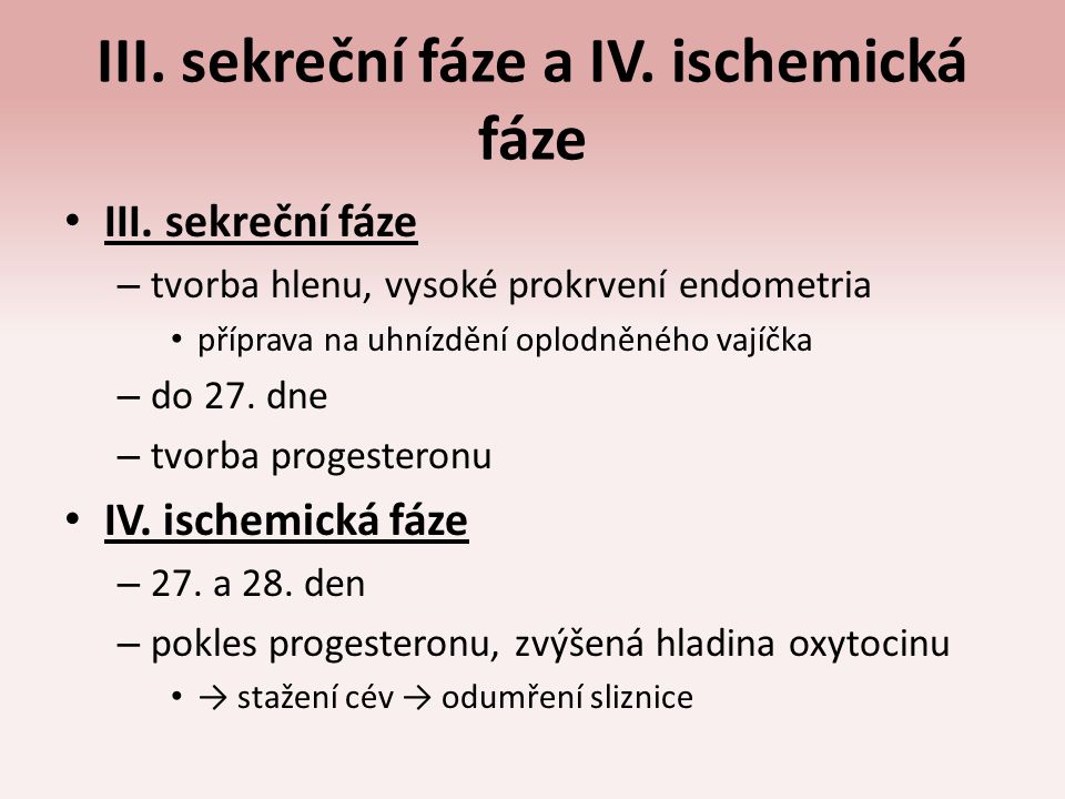 III. sekreční fáze a IV. ischemická fáze