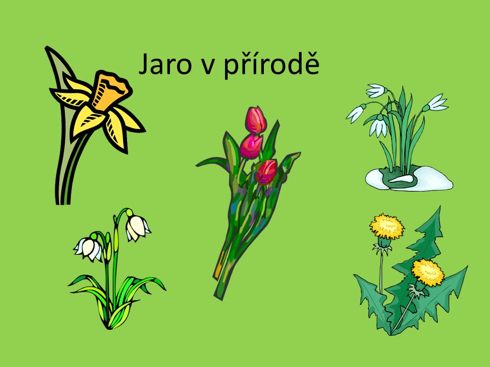 Jaro v přírodě