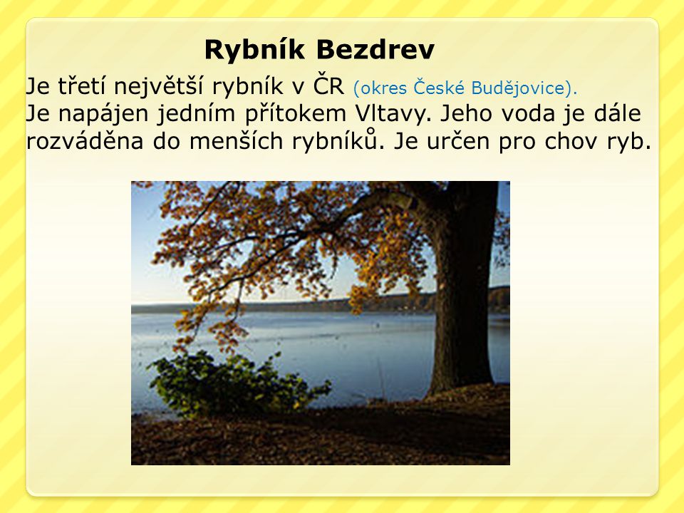 Rybník Bezdrev Je třetí největší rybník v ČR (okres České Budějovice).