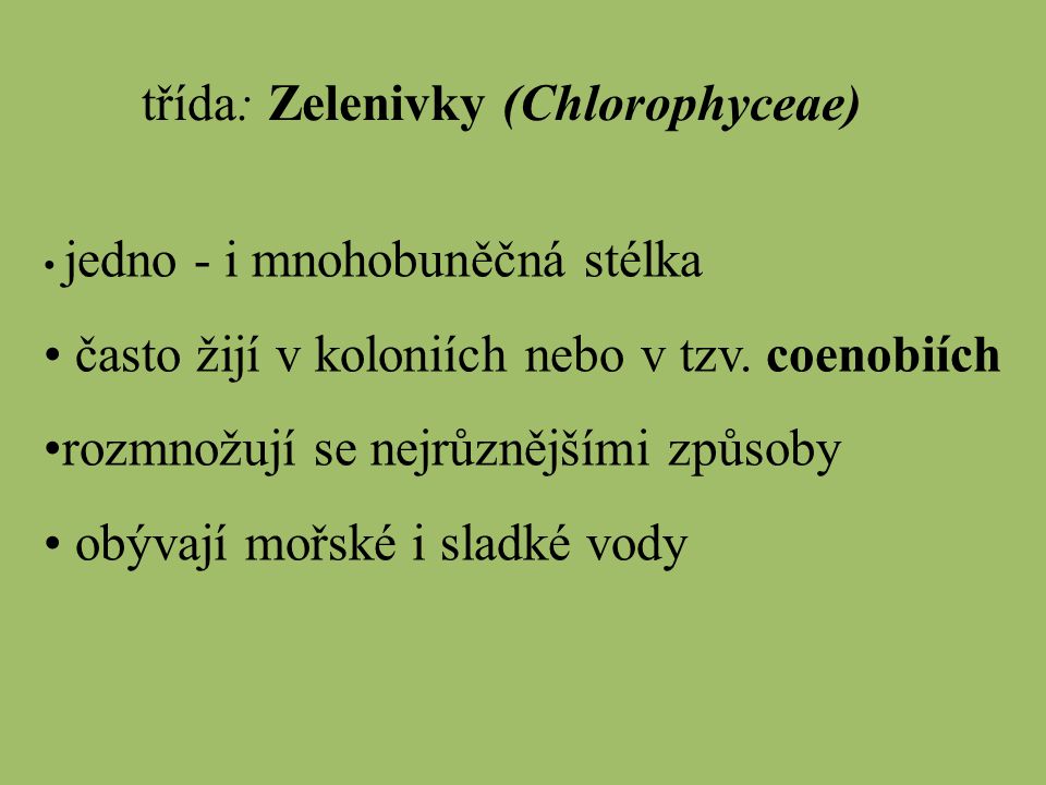 třída: Zelenivky (Chlorophyceae)
