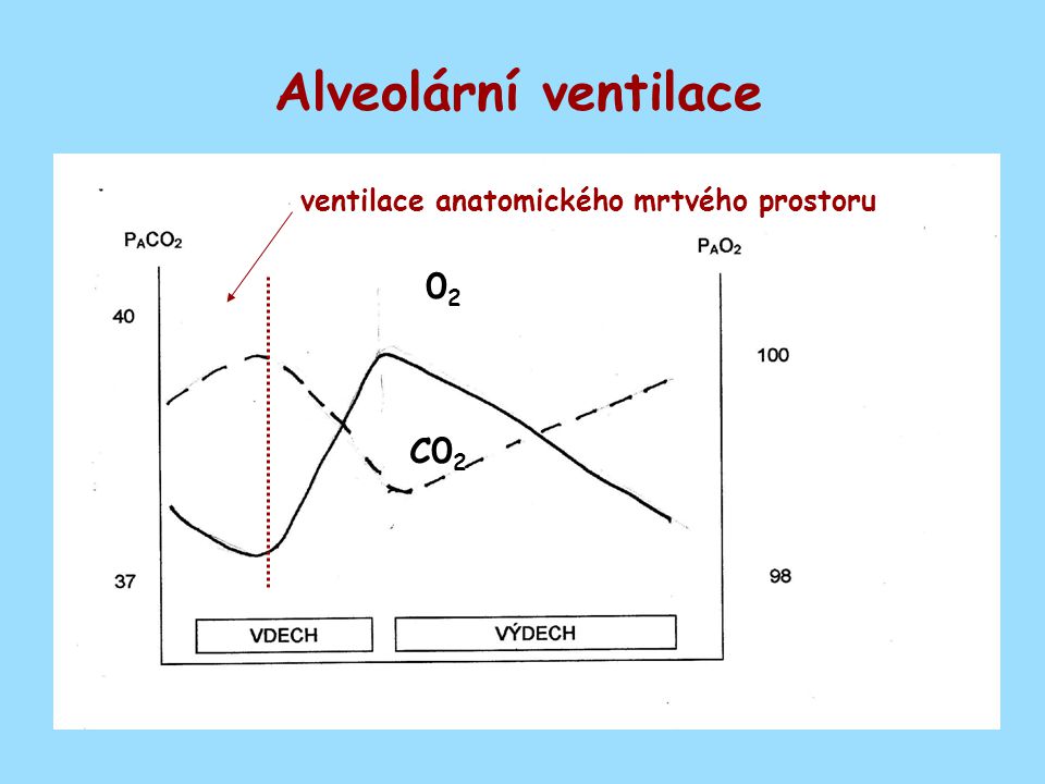 Alveolární ventilace ventilace anatomického mrtvého prostoru 02 C02