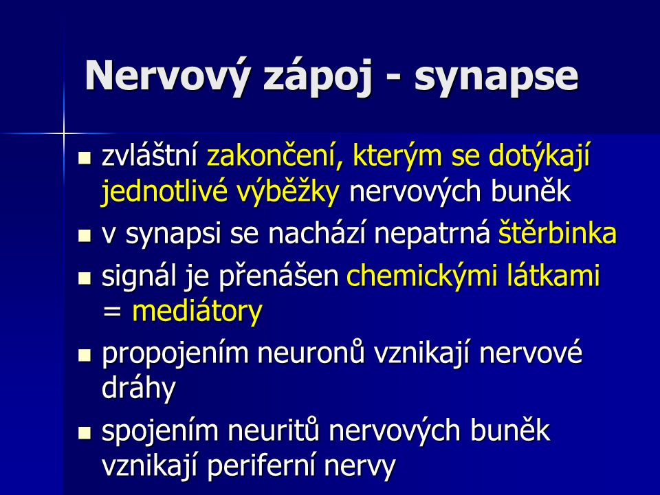Nervový zápoj - synapse