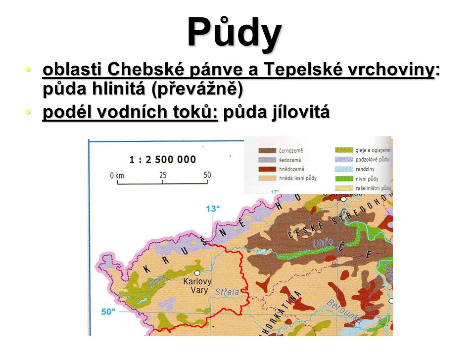 Půdy oblasti Chebské pánve a Tepelské vrchoviny: půda hlinitá (převážně) podél vodních toků: půda jílovitá.