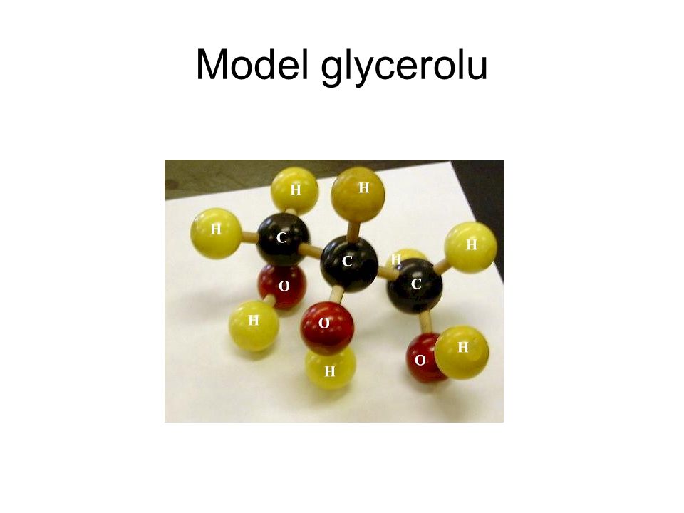 Model glycerolu