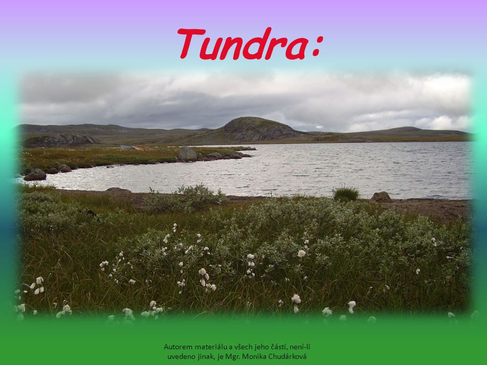 Tundra: Autorem materiálu a všech jeho částí, není-li uvedeno jinak, je Mgr. Monika Chudárková