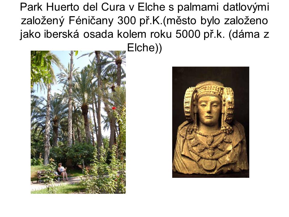 Park Huerto del Cura v Elche s palmami datlovými založený Féničany 300 př.K.(město bylo založeno jako iberská osada kolem roku 5000 př.k.