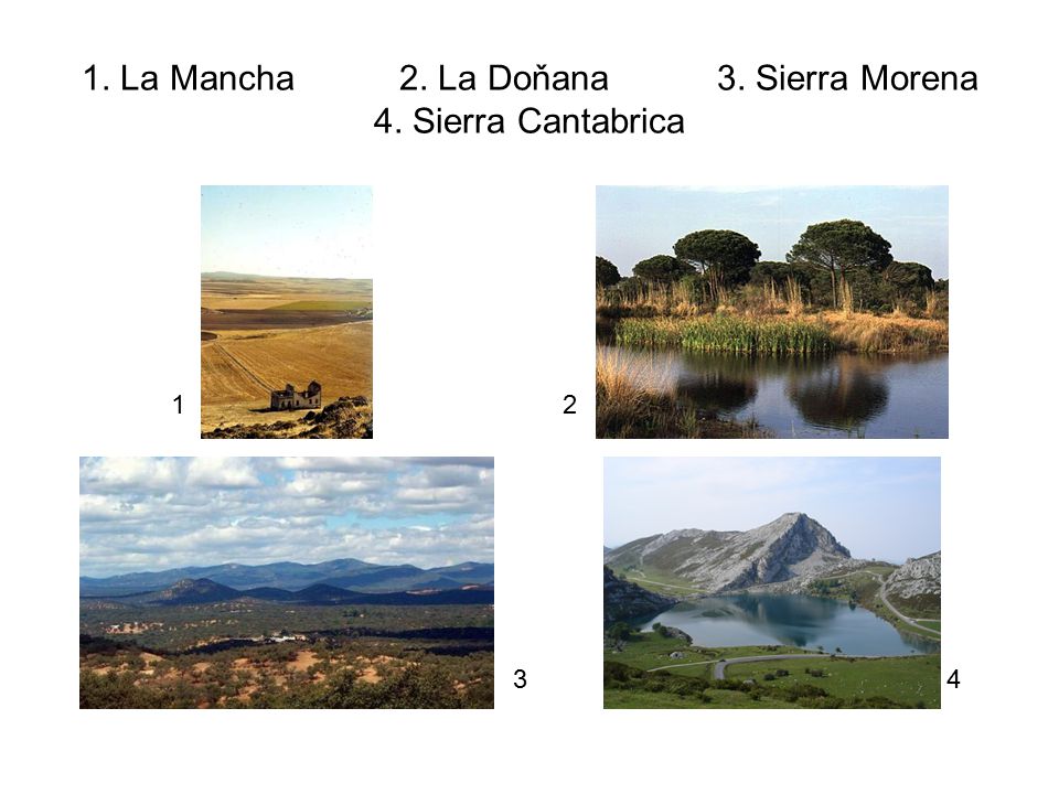 1. La Mancha 2. La Doňana 3. Sierra Morena 4. Sierra Cantabrica
