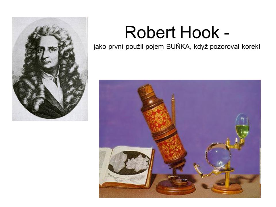 Robert Hook - jako první použil pojem BUŇKA, když pozoroval korek!