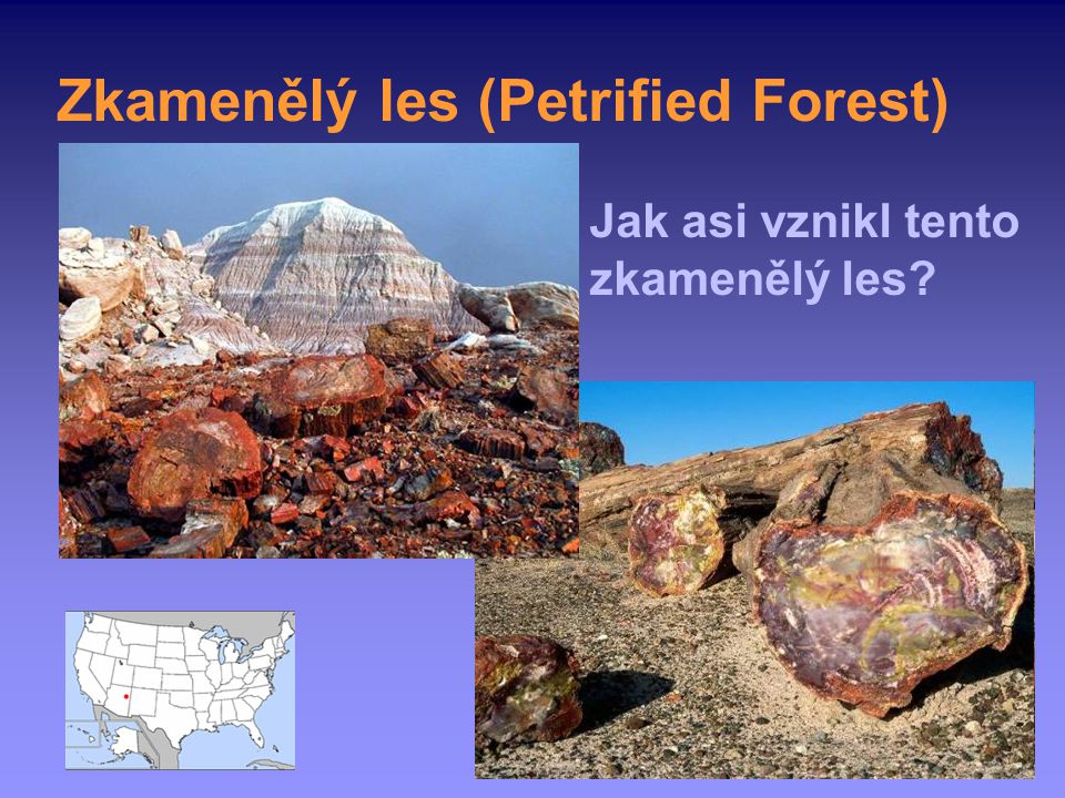 Zkamenělý les (Petrified Forest)