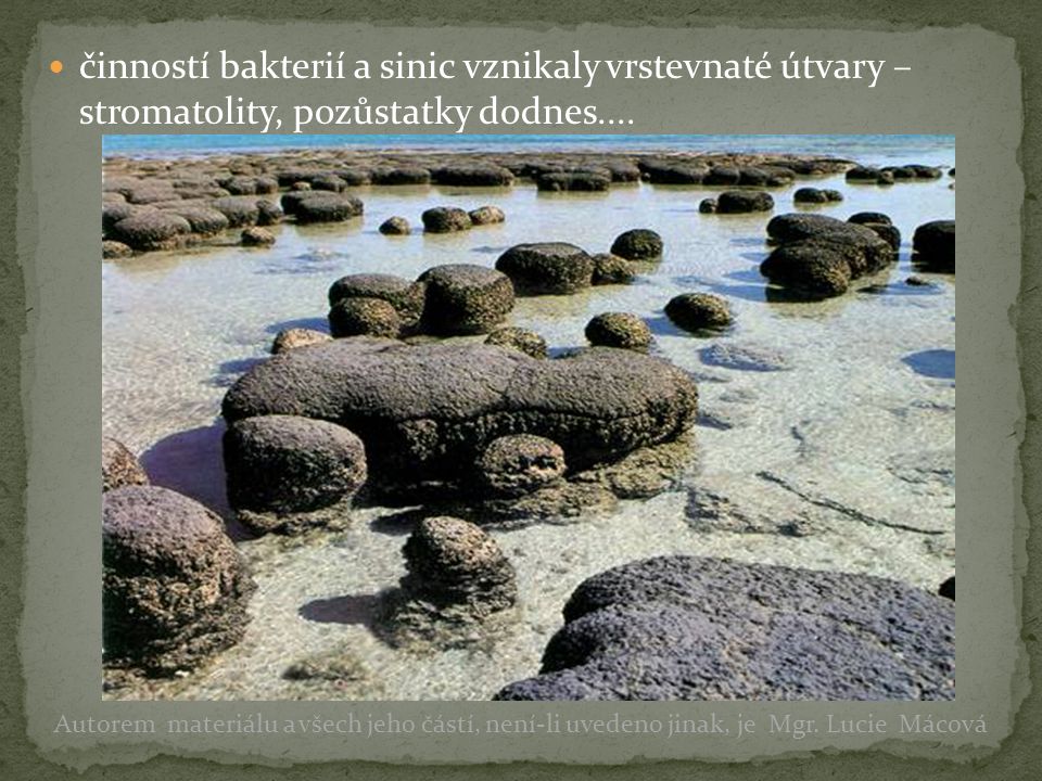 činností bakterií a sinic vznikaly vrstevnaté útvary – stromatolity, pozůstatky dodnes....