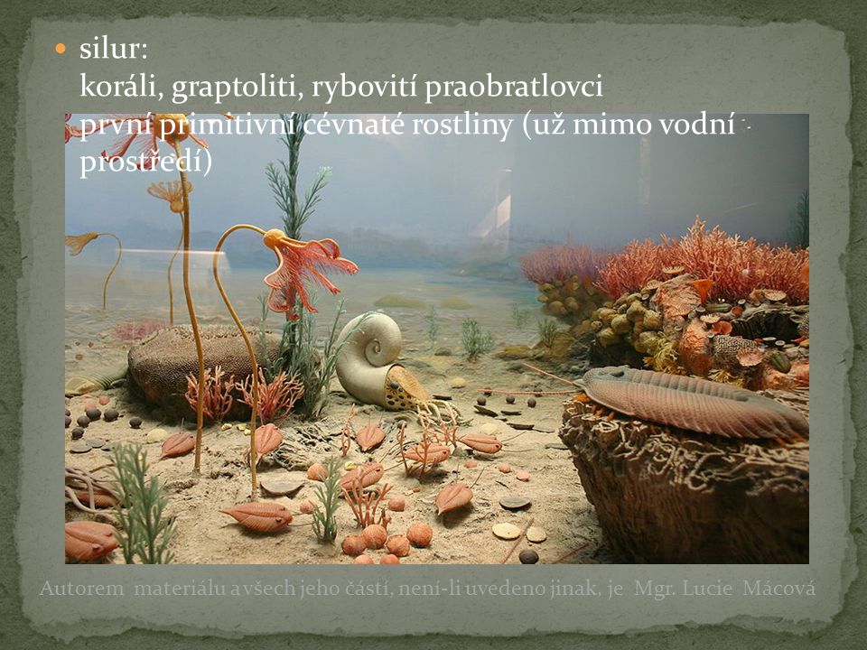 silur: koráli, graptoliti, rybovití praobratlovci první primitivní cévnaté rostliny (už mimo vodní prostředí)
