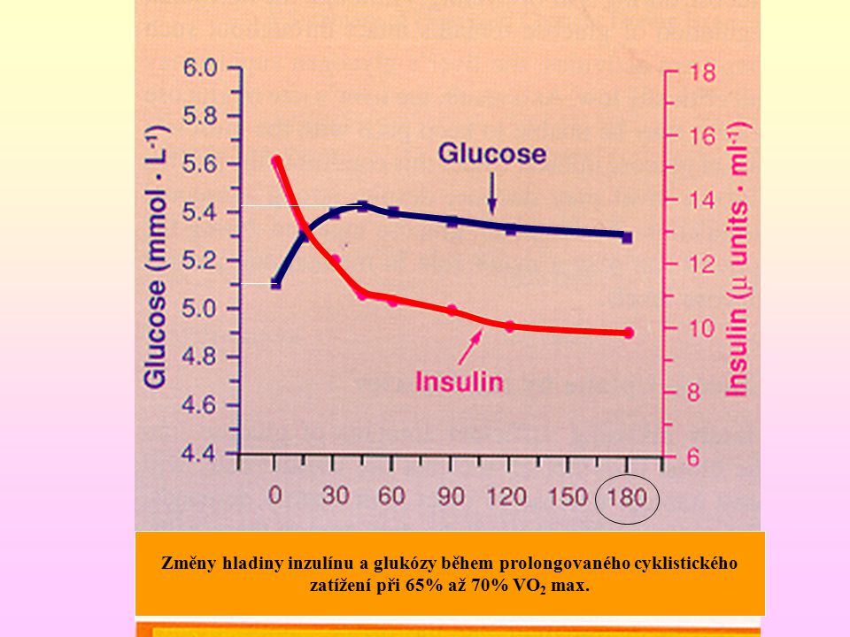 Změny hladiny inzulínu a glukózy během prolongovaného cyklistického