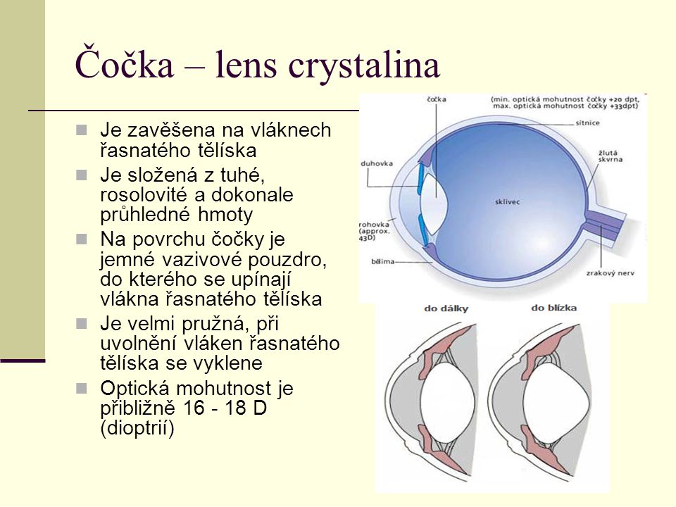 Čočka – lens crystalina