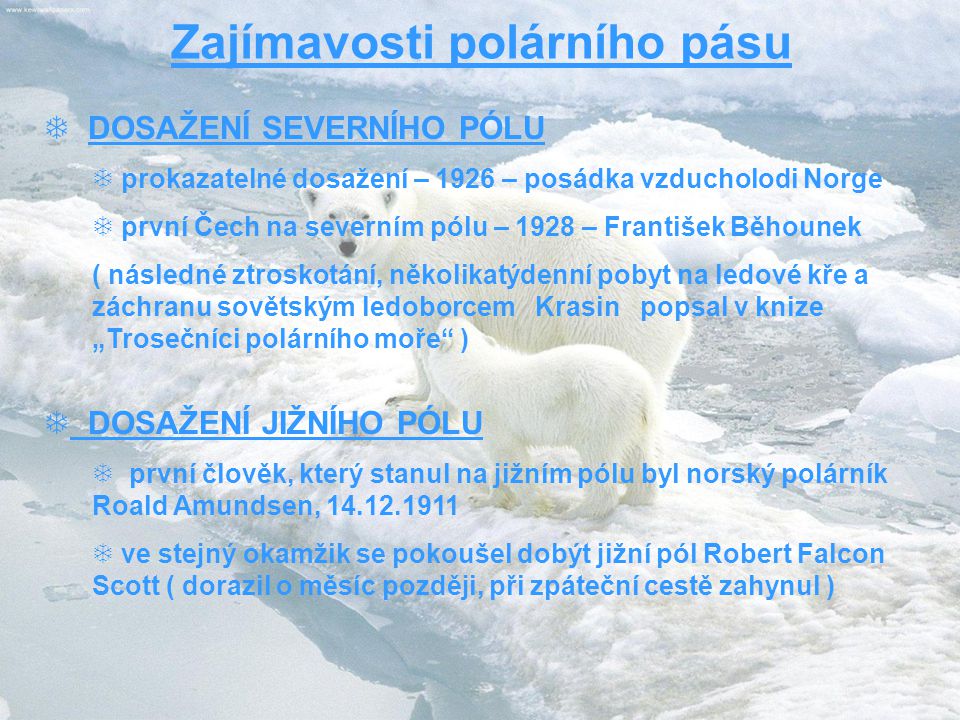 Zajímavosti polárního pásu