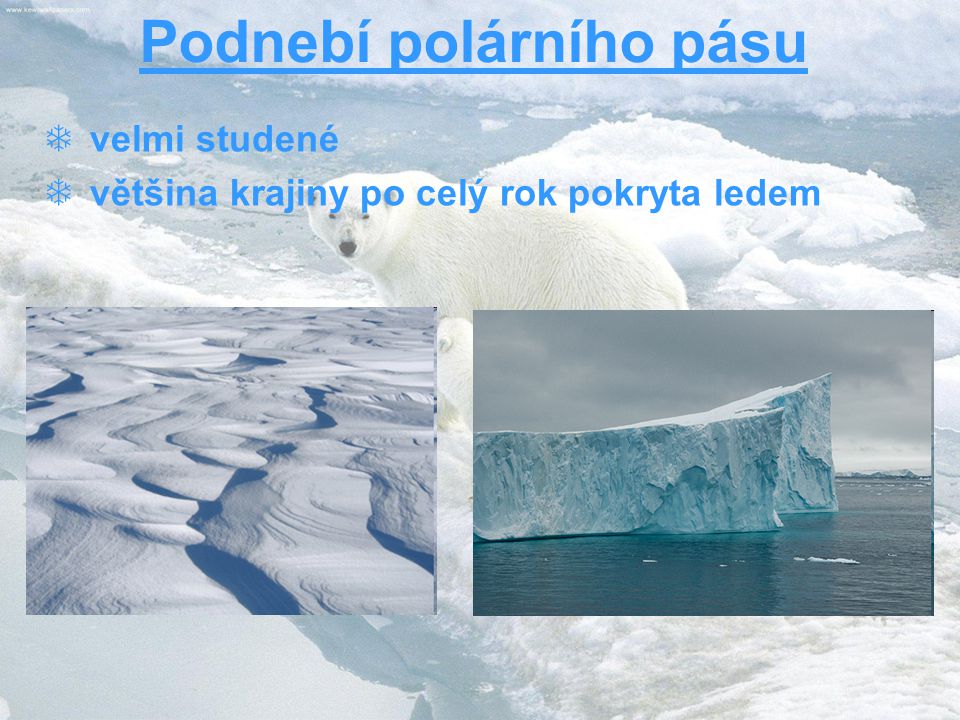 Podnebí polárního pásu