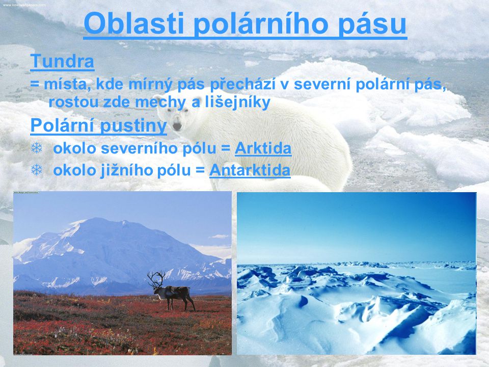 Oblasti polárního pásu