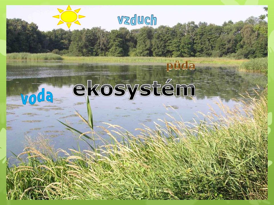 vzduch půda ekosystém voda