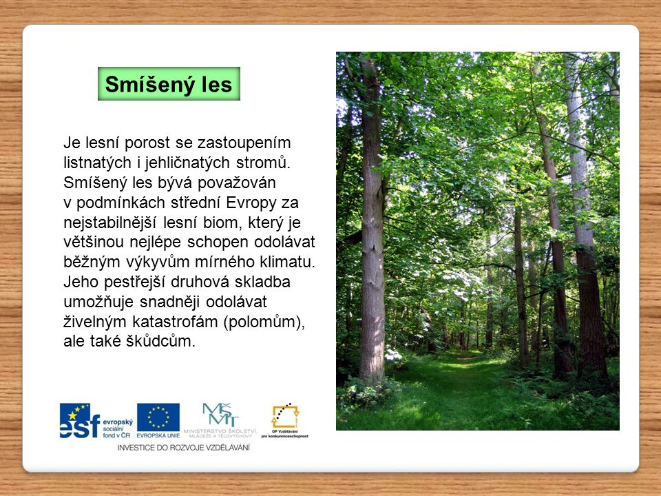 Smíšený les Je lesní porost se zastoupením listnatých i jehličnatých stromů. Smíšený les bývá považován.