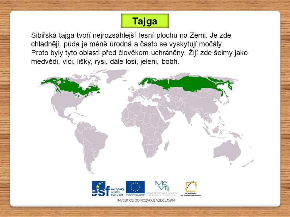 Tajga Sibiřská tajga tvoří nejrozsáhlejší lesní plochu na Zemi. Je zde chladněji, půda je méně úrodná a často se vyskytují močály.