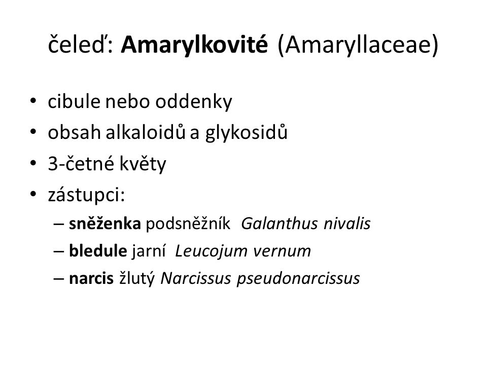 čeleď: Amarylkovité (Amaryllaceae)