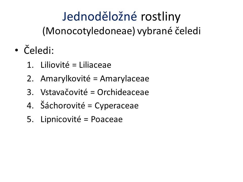 Jednoděložné rostliny (Monocotyledoneae) vybrané čeledi