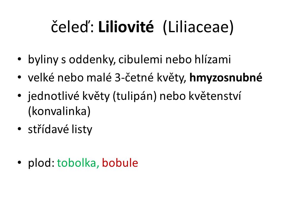čeleď: Liliovité (Liliaceae)