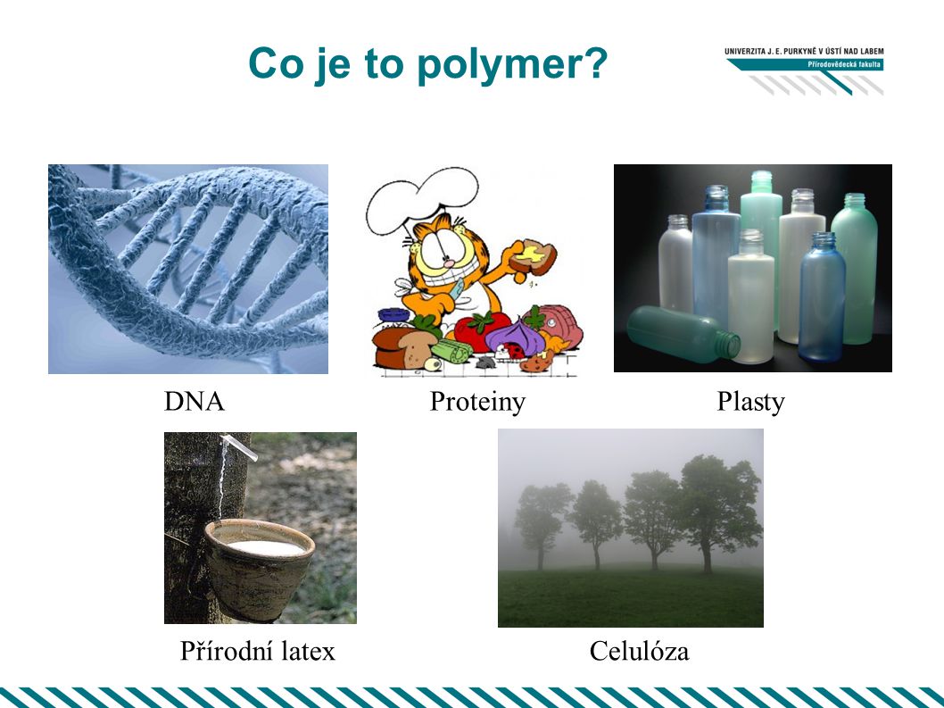 Co obsahuje polymer?