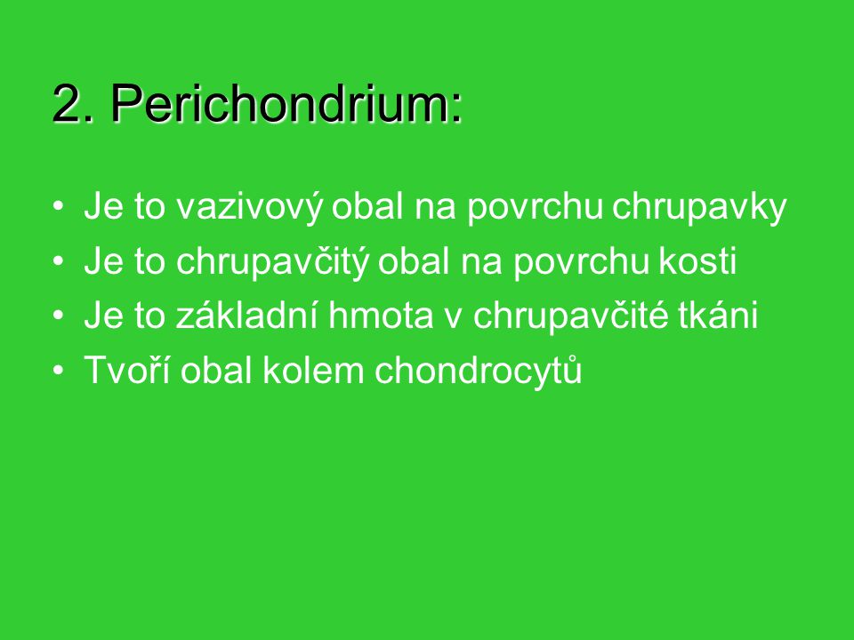 2. Perichondrium: Je to vazivový obal na povrchu chrupavky