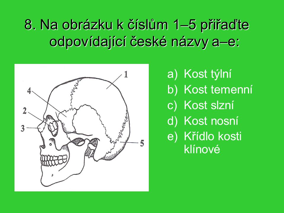 8. Na obrázku k číslům 1–5 přiřaďte odpovídající české názvy a–e: