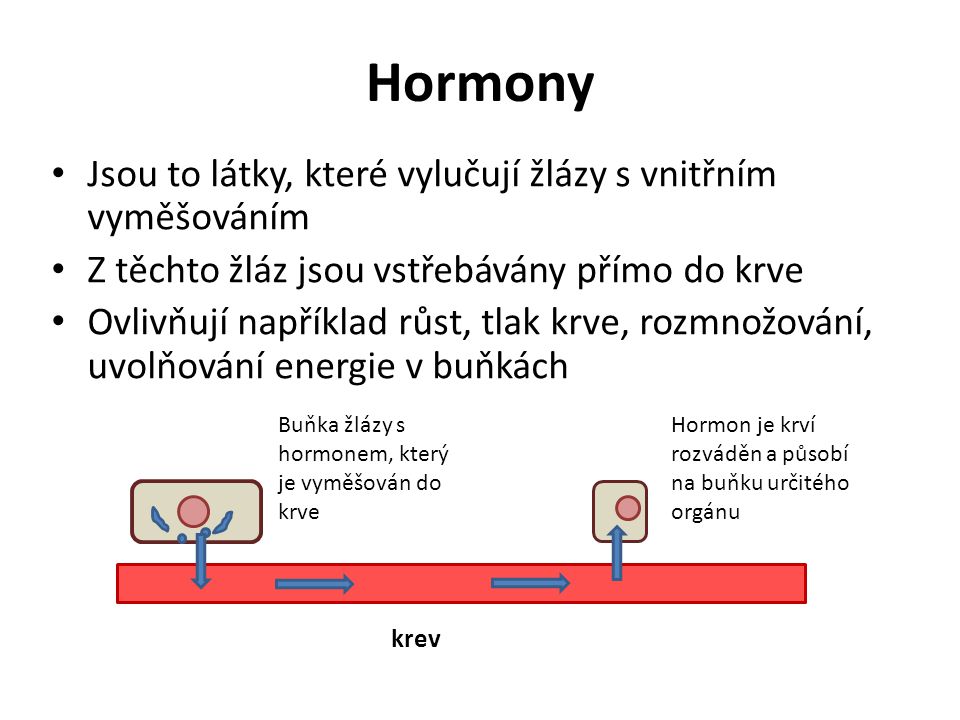 Hormony Jsou to látky, které vylučují žlázy s vnitřním vyměšováním