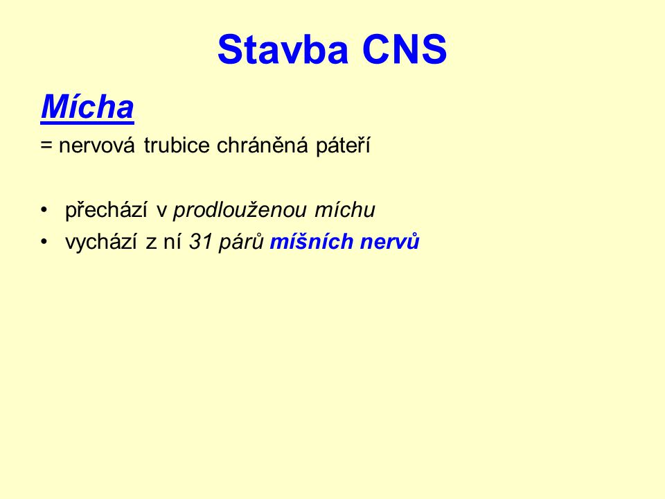 Stavba CNS Mícha = nervová trubice chráněná páteří