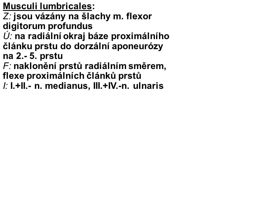Musculi lumbricales: Z: jsou vázány na šlachy m. flexor digitorum profundus.